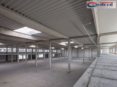 Pronájem skladu, obchodních, výrobních prostor 16.000 m², Brno - Líšeň - 59702