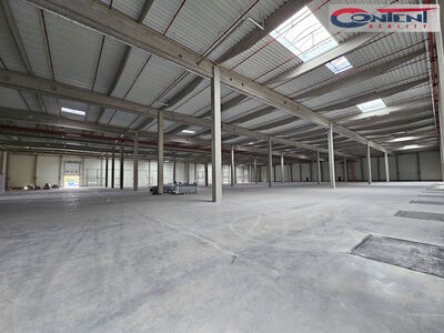 Pronájem skladu, výrobních prostor 3.500 m², Olomouc - Bystrovany - 60322