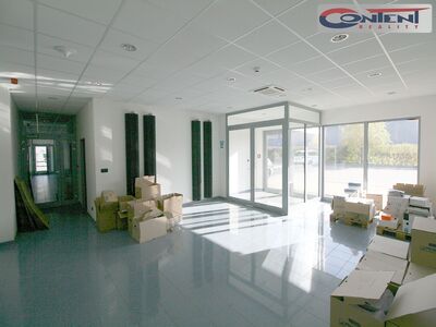 Pronájem skladu, výrobních prostor 4.398 m², Plzeň - Myslinka, D5 - 60803