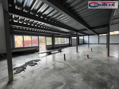 Pronájem skladu, výrobních prostor 919 m², Kladno, D6 a D7 - 61031