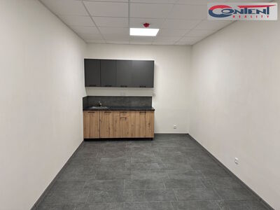 Pronájem skladu, výrobních prostor 1.300 m², Tábor, D3 - 61082