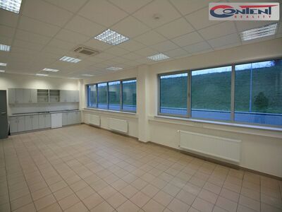 Pronájem skladu, výrobních prostor 5.442 m², Plzeň, D5 - 61238