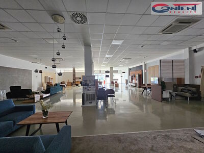 Pronájem skladu, obchodních prostor 961 m², Čestlice, D1 - 61248
