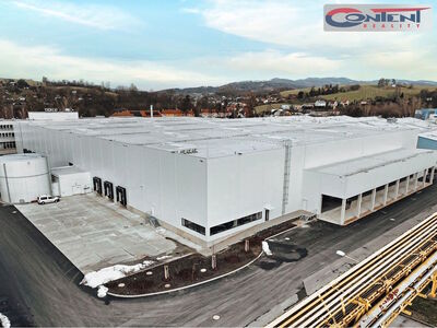 Pronájem skladu, výrobních prostor 4.000 m², Valašské Meziříčí - 61258