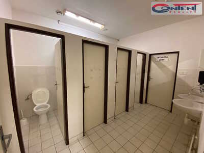 Pronájem skladu, výrobních prostor 3.372 m², Sokolov - 61748