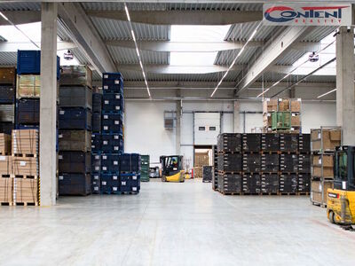Pronájem skladu, výrobních prostor prostor 9.606 m², Plzeň, Borská pole, D5 - 61450