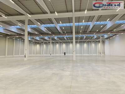Pronájem skladu, výrobních prostor 19.360 m², Olomouc - 61463