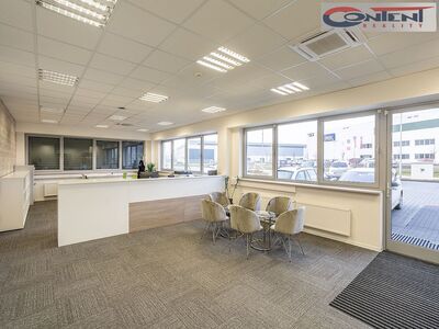 Pronájem skladu, výrobních prostor 19.360 m², Olomouc - 61474