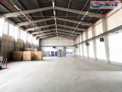 Pronájem skladu, výrobních prostor 3.164 m², Břeclav - 61515