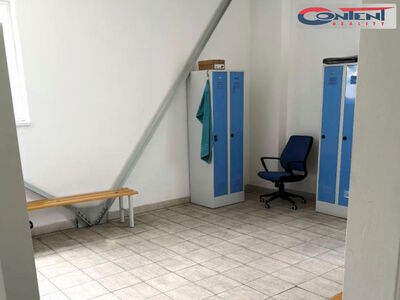 Pronájem skladu, výrobních prostor 793 m², Břeclav - 61599