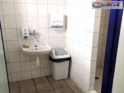 Pronájem skladu, výrobních prostor 793 m², Břeclav - 61600