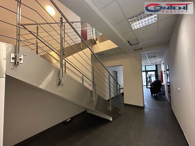 Pronájem skladu nebo výrobních prostor 4.100 m², Chrášťany - 61615