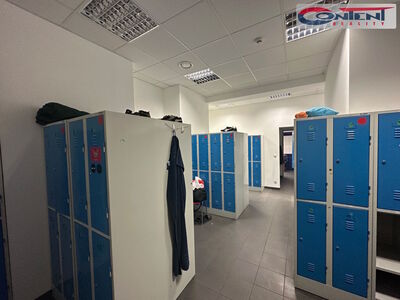 Pronájem skladu nebo výrobních prostor 4.100 m², Chrášťany - 61616
