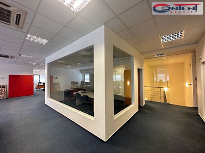 Pronájem skladu nebo výrobních prostor 4.100 m², Chrášťany - 61618