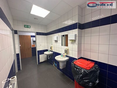 Pronájem skladu nebo výrobních prostor 4.100 m², Chrášťany - 61621