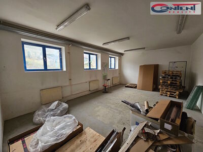 Pronájem skladu, výrobních prostor 1.500 m², Nová Paka - 61636