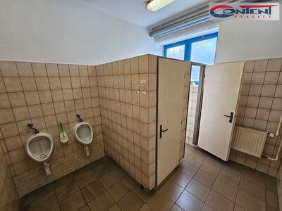 Pronájem skladu, výrobních prostor 1.500 m², Nová Paka - 61637