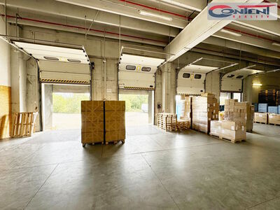 Pronájem skladu, výrobních prostor 11.000 m², Říčany u Prahy - 61939