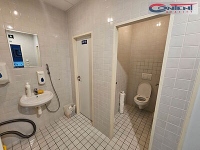 Pronájem skladu, obchodních prostor 633 m², Čestlice, D1 - 62521