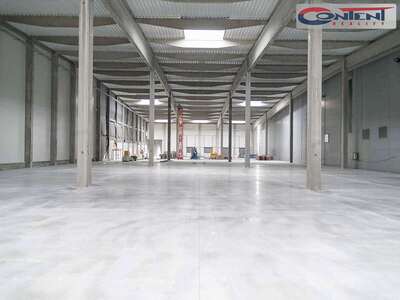 Pronájem skladu, výrobních prostor 7.079 m², Divišov, D1 - 62357