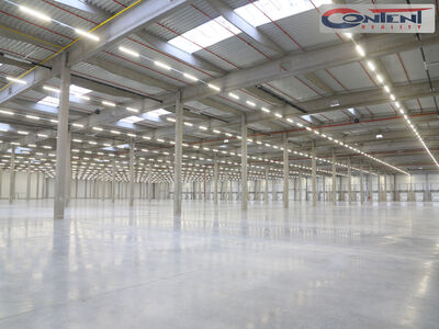 Pronájem skladu, výrobních prostor 8.000 m², Brno - 62979