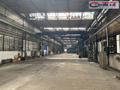 Pronájem skladu, výrobních prostor 1.009 m², Plzeň - Skvrňany - 63002