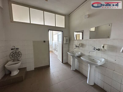 Pronájem skladu, výrobních prostor 1.009 m², Plzeň - Skvrňany - 63011