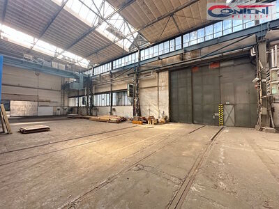 Pronájem skladu, výrobních prostor 1.009 m², Plzeň - Skvrňany - 63006