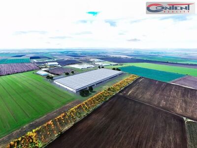 Pronájem novostavby skladu, výrobních prostor 20.000 m², Most 	 - 63015