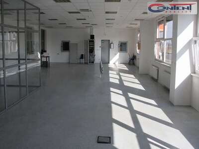 Pronájem skladu, výrobních prostor 18.000 m², Litovel, D35 - 63137