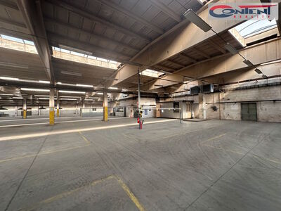 Pronájem skladu, výrobních prostor 4.503 m², Litoměřice - 63162