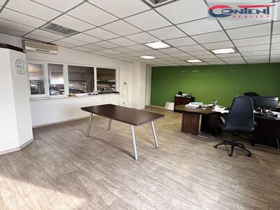 Pronájem skladu, výrobních prostor 4.503 m², Litoměřice - 63179