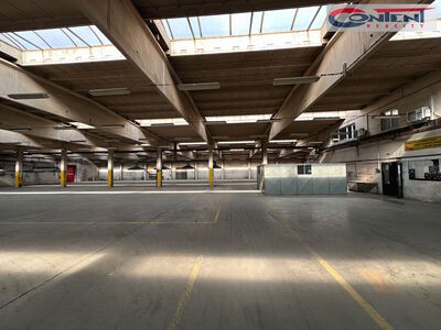 Pronájem skladu, výrobních prostor 4.503 m², Litoměřice - 63165