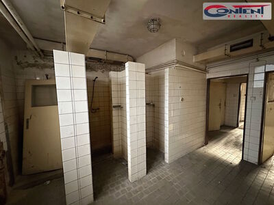 Pronájem skladu, výrobních prostor 2.050 m², Příbram - 63200