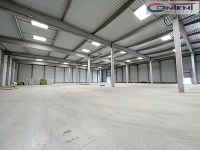 Pronájem skladu, výrobních prostor 8.281 m², Žebrák - 63405