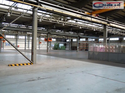 Pronájem výrobních prostor, skladu 4.465 m², Červený Kostelec, D11 - 63439