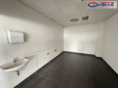 Pronájem skladu, výrobních prostor 4.262 m², Ústí nad Labem, D8 - 63456