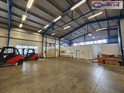 Pronájem skladu, výrobních prostor 876 m², Bruntál - 63576