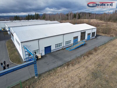 Pronájem skladu, výrobních prostor 876 m², Bruntál - 63574
