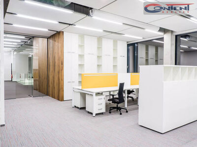 Pronájem skladu, výrobních prostor 9.368 m², Solnice - 63674