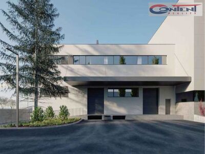 Pronájem multifunkčních industriálních prostor 1.091 m², Praha 10 - Malešice - 63687