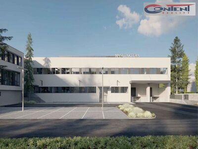 Pronájem multifunkčních industriálních prostor 1.091 m², Praha 10 - Malešice - 63691