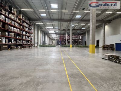 Pronájem skladu, výrobních prostor 3.000 m², Hradec Králové - 63719