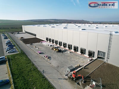 Pronájem skladu, výrobních prostor 11.000 m², Hustopeče, D2 - 63771