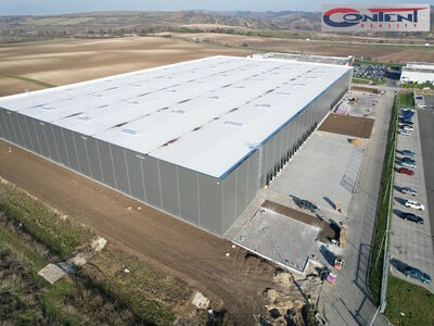 Pronájem skladu, výrobních prostor 11.000 m², Hustopeče, D2 - 63772