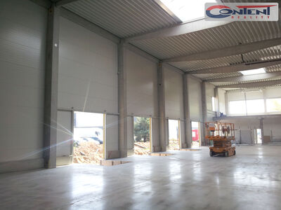Pronájem skladu, výrobních prostor 11.000 m², Hustopeče, D2 - 63776