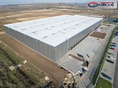 Pronájem skladu, výrobních prostor 2.800 m², Hustopeče, D2 - 63902