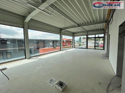Pronájem industriálních prostor 1.838 m², Střelice, D1 - 63924