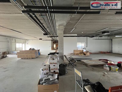 Pronájem industriálních prostor 1.838 m², Střelice, D1 - 63929
