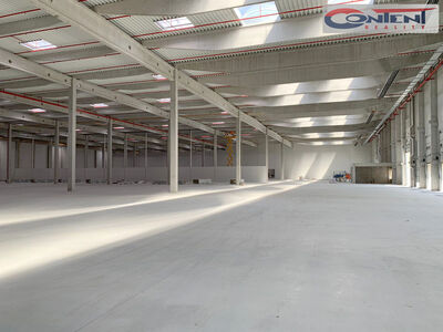 Pronájem skladu, výrobních prostor 13.751 m², Brno, D1 - 63949
